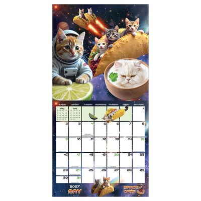 2027 TF Publishing Space Cats 7" x 7" Monthly Wall Calendar, Multicolored (27-2009)