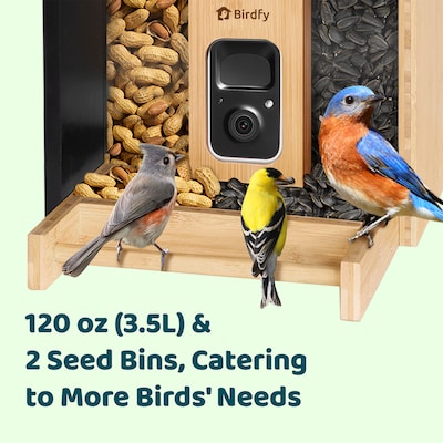 Birdfy Feeder Bamboo with Camera, Solar Panel and AI by Subscription, Multicolored (EPPAMBNI8402110)