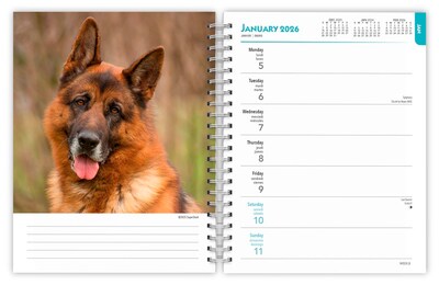 2026 BrownTrout German Shepherds 6.5" x 7.75" Weekly Planner (9798330703371)