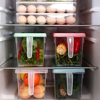 Set of 2 Fridge Food Storage Containers