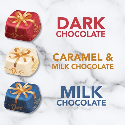 Dove Promises Chocolate Christmas Candy Variety Assortment, 24 oz. (MMM57643)