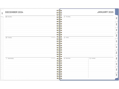 2025 Blue Sky Cocorrina 8.5 x 11 Weekly & Monthly Planner, Plastic Cover, Multicolor (143696-25)