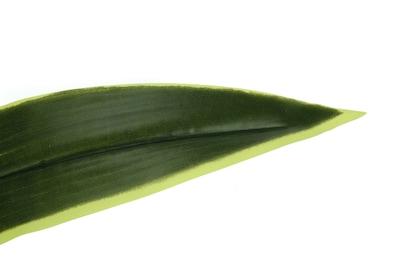 Monarch Specialties Inc. 47" Artificial Dracaena Tree in Pot (I 9542)