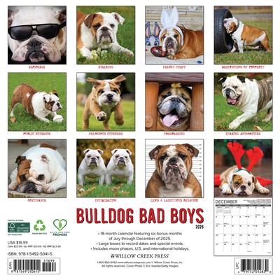 2026 Willow Creek Bulldog Bad Boys 12 x 12 Monthly Wall Calendar (50415)