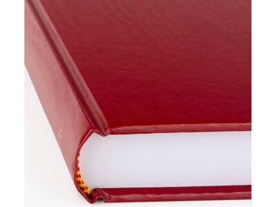 AT-A-GLANCE Standard Hardcover 2025 Daily Diary, 7.75" x 12", Ruled, Red (SD377-13-25)