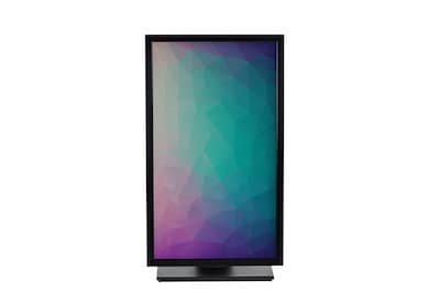 Kensington Direct Attach Privacy Screens for Monitors, 21.5, 16:9 Ratio (RM215A169A)