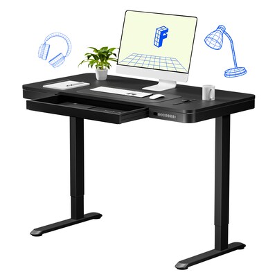 FlexiSpot EW2 48W Electric Adjustable Standing Desk, Black (EW2B-E)