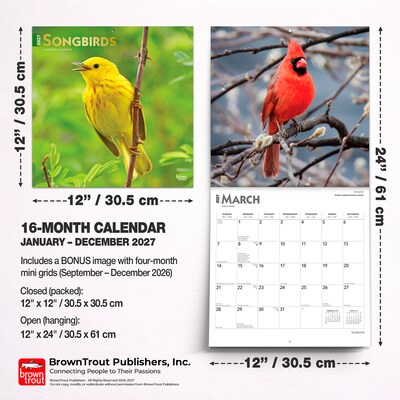 2027 BrownTrout Songbirds 12" x 12" Monthly Wall Calendar (9798330712113)