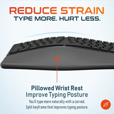 Delton KB250 Wired Ergonomic Keyboard with Cushioned Wrist Rest, USB-A, Black (DKBE250-U)