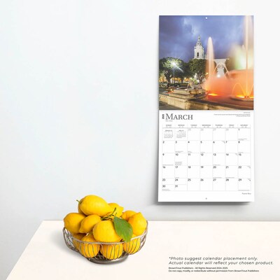 2025 BrownTrout Puerto Rico 12" x 12" Monthly Wall Calendar (9781975475581)