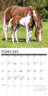 2026 Willow Creek Horses 12" x 12" Monthly Wall Calendar (51504X)