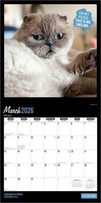 2026 BrownTrout Cat Selfies 12" x 12" Monthly Wall Calendar (9798330702794)