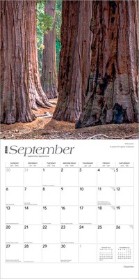 2026 BrownTrout Yosemite 12" x 12" Monthly Wall Calendar (9798330706471)