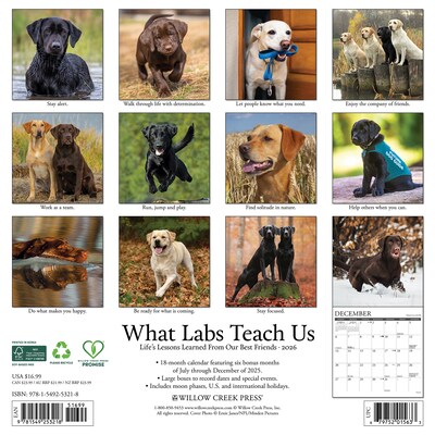 2026 Willow Creek What Labs Teach Us 12 x 12 Monthly Wall Calendar (53218)