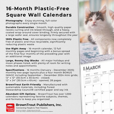 2025 BrownTrout Maine Coon Cats 12" x 24" Monthly Square Wall Calendar, (9781975477387)
