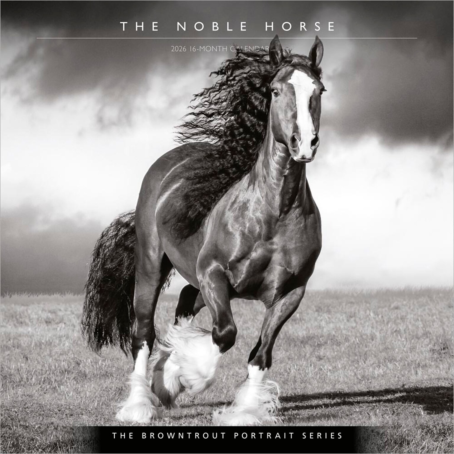 2026 BrownTrout The BrownTrout Portrait Series: The Noble Horse 12 x 12 Monthly Wall Calendar (9798330703753)