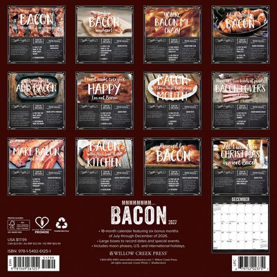 2027 Willow Creek MMMMMMMM… Bacon 12 x 12 Monthly Wall Calendar, Assorted Colors (61251)