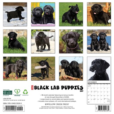 2027 Willow Creek Black Lab Puppies 12 x 12 Monthly Wall Calendar, Assorted Colors (59265)