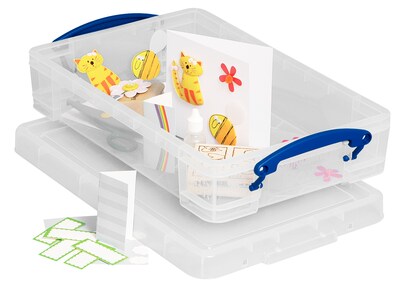 Really Useful Box 4.23 Quart Storage Box with Latching Lid, Plastic, Clear (4L CL)