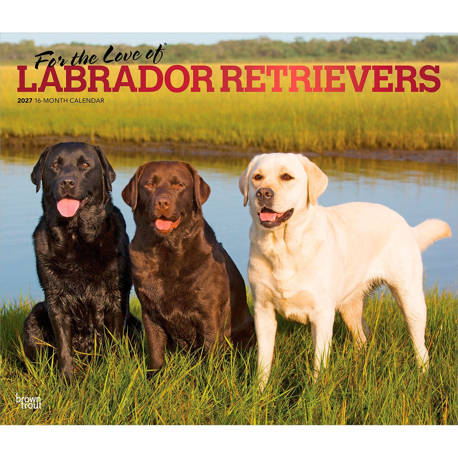 2027 BrownTrout For the Love of Labrador Retrievers 14 x 12 Monthly Wall Calendar, Assorted Colors (9798330714681)