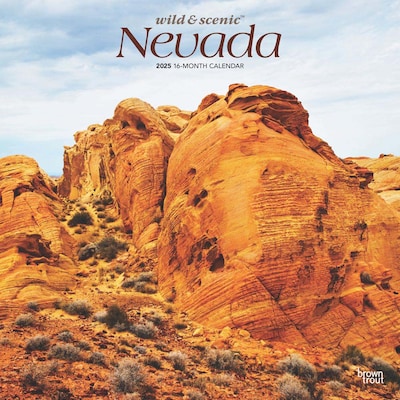 2025 BrownTrout Nevada Wild & Scenic 12 x 12 Monthly Square Wall Calendar (9781975475369)