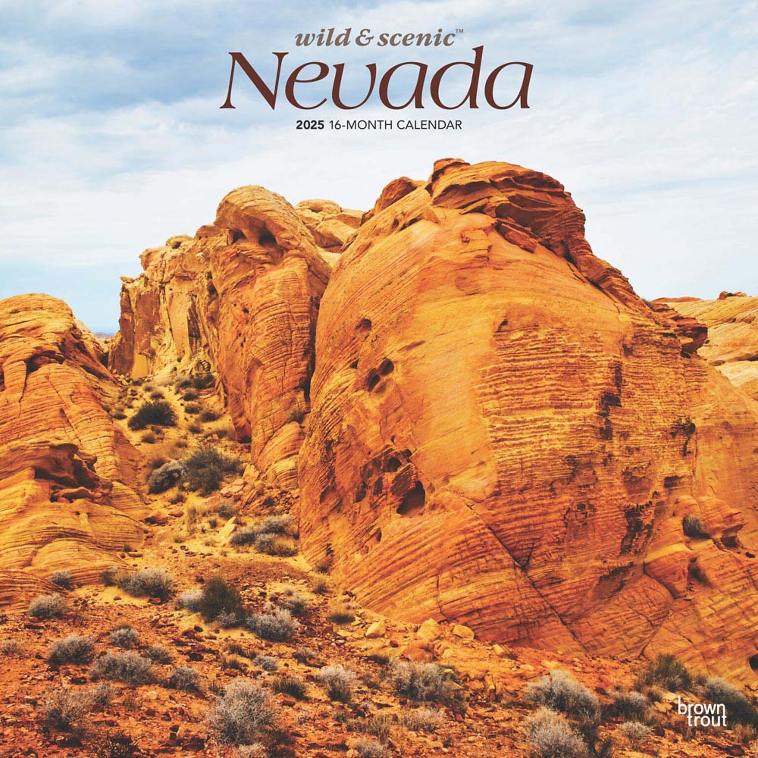 2025 BrownTrout Nevada Wild & Scenic 12 x 12 Monthly Square Wall Calendar (9781975475369)