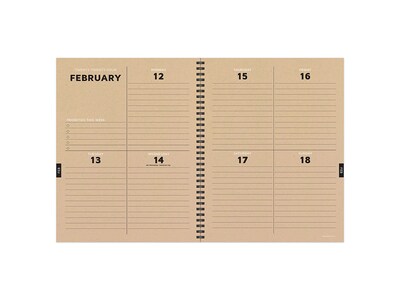 2023-2024 TF Publishing Dotted Circles 9" x 11" Academic Weekly & Monthly Planner, Paperboard Cover, Multicolor (AY24-9704)