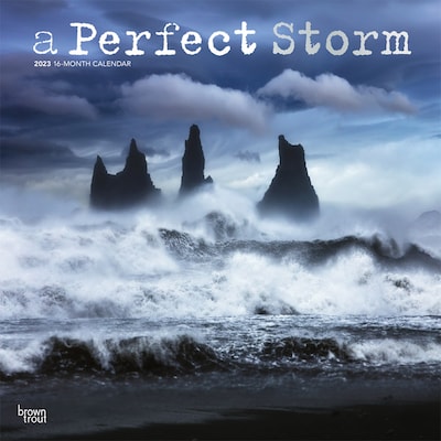 2023 BrownTrout A Perfect Storm 12 x 24 Monthly Wall Calendar, (9781975454944)