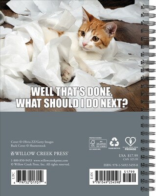 2026 Willow Creek Cat-astrophe 6.5 x 8.5 Daily & Monthly Personal Organizer (54598)