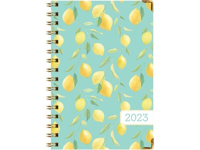 2023 Global Printed Products Lemons Seagrass 5.5 x 8 Weekly & Monthly Planner, Green/Yellow (AMZSET23-25-S)