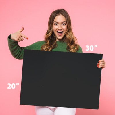 Flipside Foam Board, 20" x 30", Black, 10/Pack (20335-10)