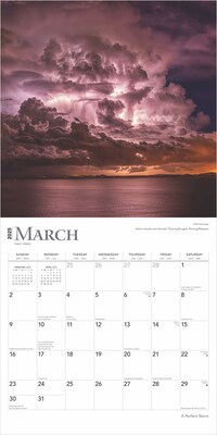 2025 BrownTrout A Perfect Storm 12" x 12" Monthly  Wall Calendar (9781975474416)