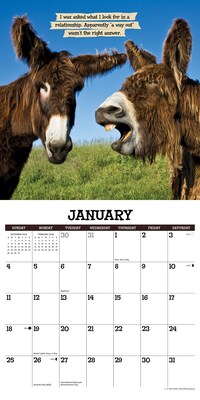 2026 Willow Creek Sassy Jackassy 12" x 12" Monthly Wall Calendar (52655)