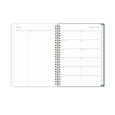 2026-2027 Blue Sky Vineyard 6" x 8" Academic Year Weekly & Monthly Planner, Plastic Cover, Green/Pink (157560)