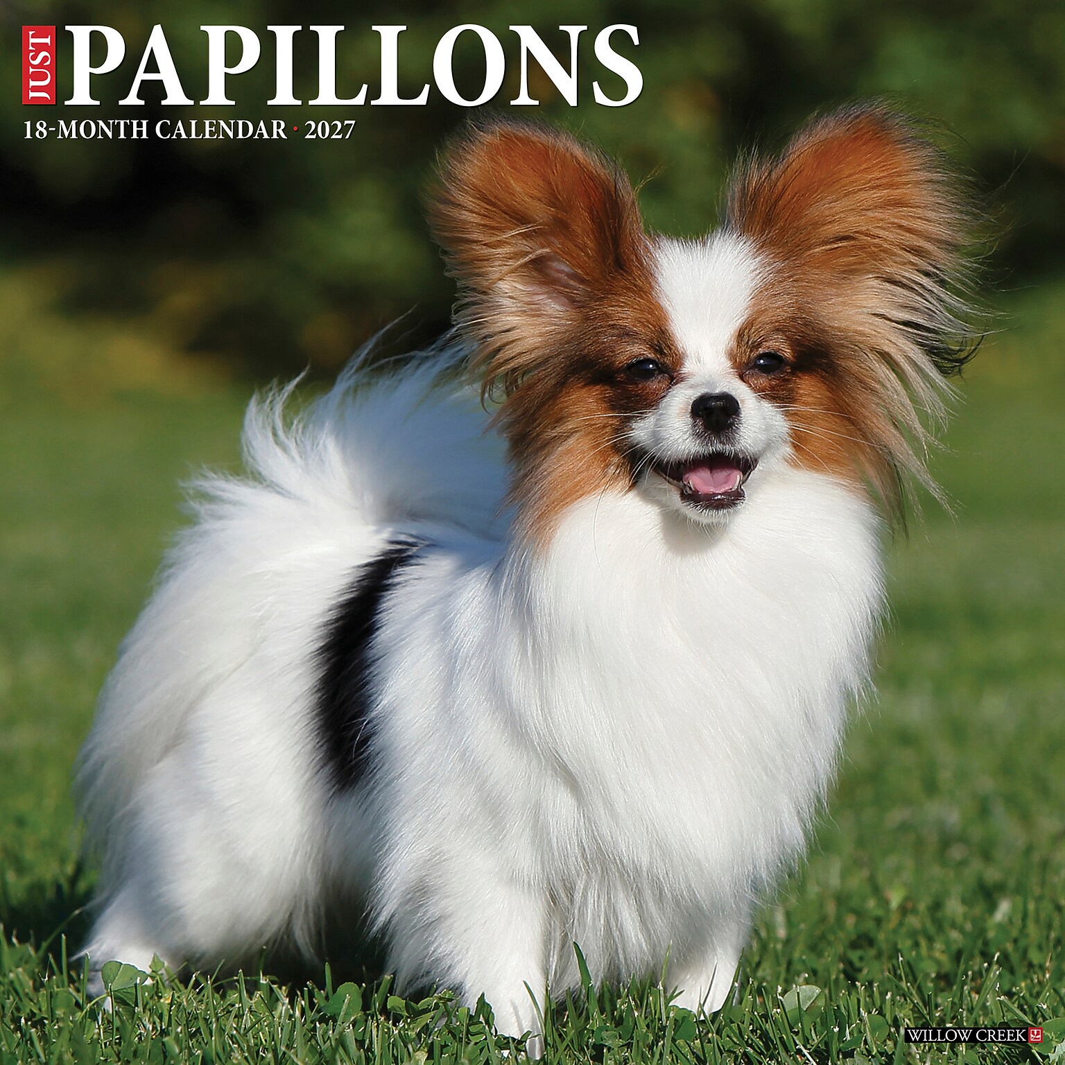 2027 Willow Creek Papillons 12 x 12 Monthly Wall Calendar, Assorted Colors (61718)