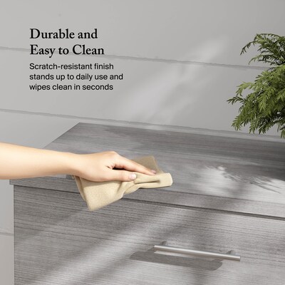 Bush Furniture Somerset 2-Drawer Lateral File Cabinet, Letter/Legal, Platinum Gray, 30" (WC81280)