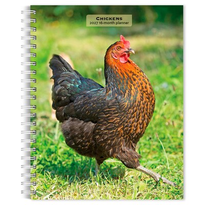 2027 BrownTrout Chickens 6.5 x 7.8 Calendar Year Weekly Standard Planner, Multicolor (9798330714919)