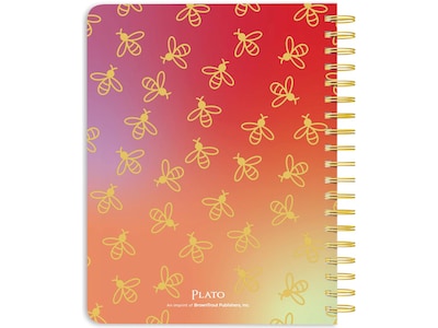 2024-2025 Plato Busy Bees 6 x 7.75 Academic Weekly Planner, Hardcover, Multicolor (9781975480356)