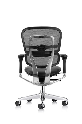 Eurotech Ergohuman Gen2 Mid Back Mesh Office Chair, Black (LEM6ERGLO-GEN2)
