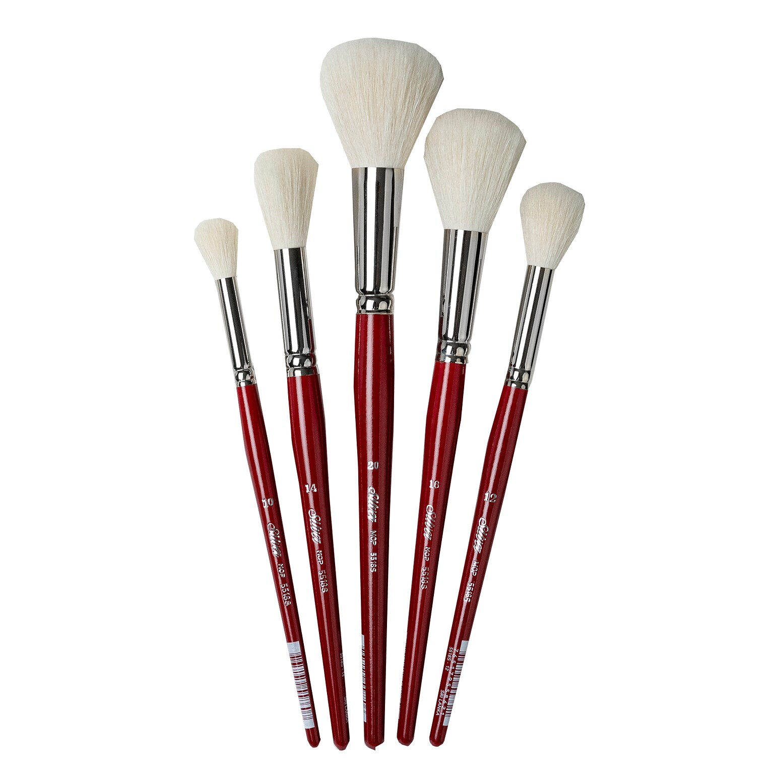 Silver Brush Silver Mops, Round Brushes, 5/Pack (SLVMP5662)