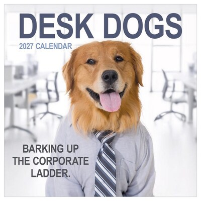 2027 TF Publishing Desk Dogs 10 x 12 Monthly Wall Calendar, Multicolored (27-1052)