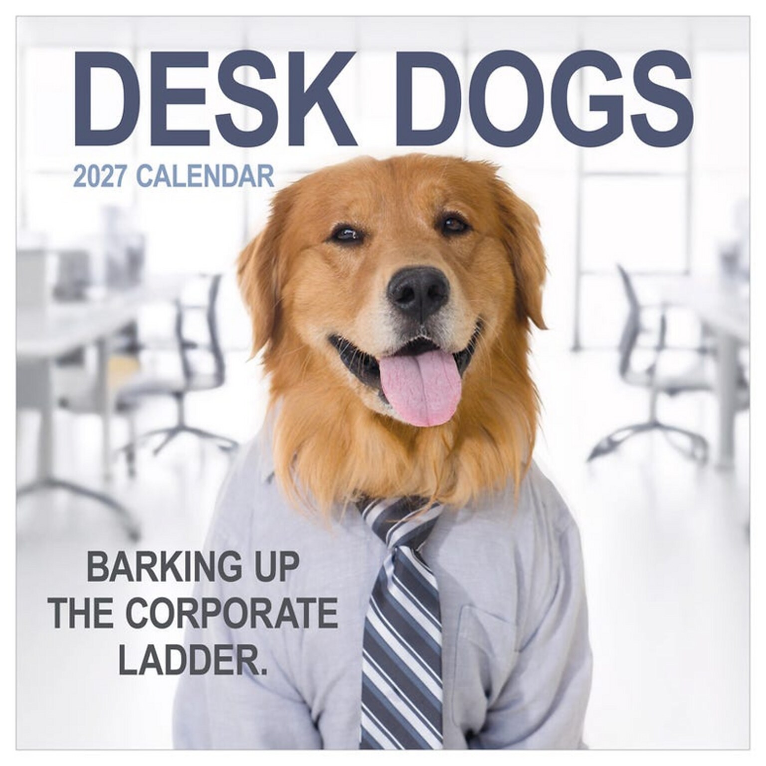 2027 TF Publishing Desk Dogs 10 x 12 Monthly Wall Calendar, Multicolored (27-1052)
