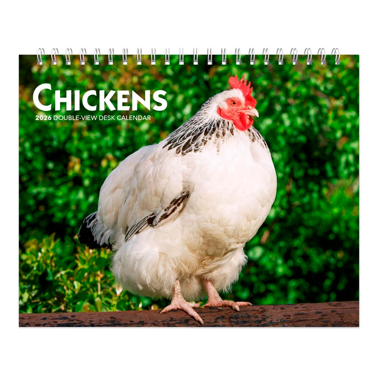 2026 BrownTrout Chickens 7.5 x 6 Monthly Desk Calendar (9798330702862)