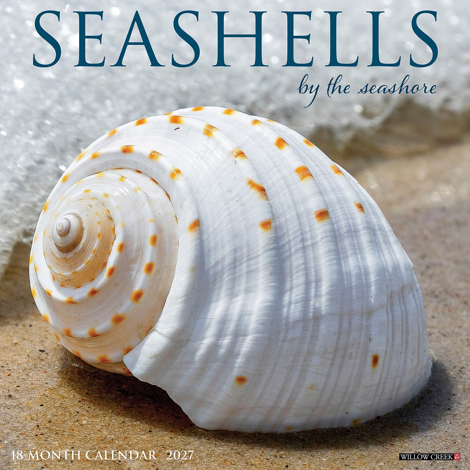 2027 Willow Creek Seashells 12 x 12 Monthly Wall Calendar, Assorted Colors (62234)