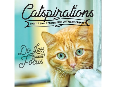 Catspirations, Chapter Book, Hardcover (48390)