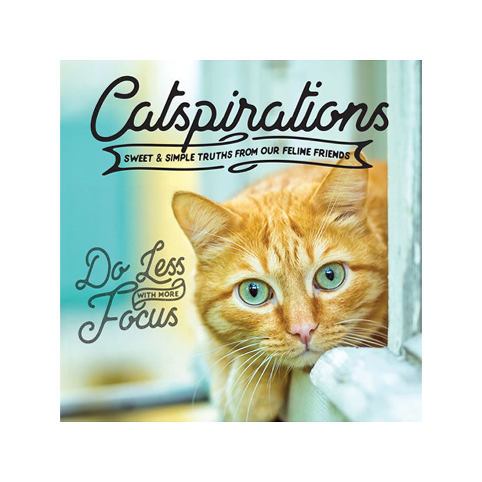 Catspirations, Chapter Book, Hardcover (48390)
