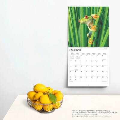 2025 BrownTrout Frogs 12" x 24" Monthly Square Wall Calendar (9781975476991)