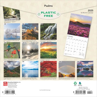 2025 BrownTrout Psalms 12 x 12 Monthly Wall Calendar (9781975477554)