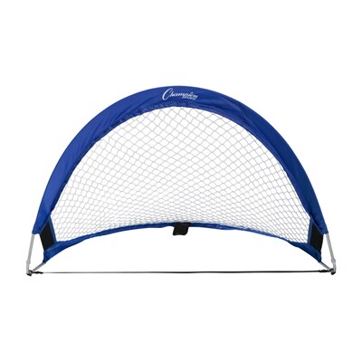 Champion Sports 30x18 Aluminum and Nylon Soccer Goal. Blue and White, (CHSSG3018)