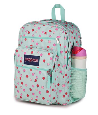 JanSport Big Student Laptop Backpack, Large, Apple Orchard (JS0A47JKA3D)